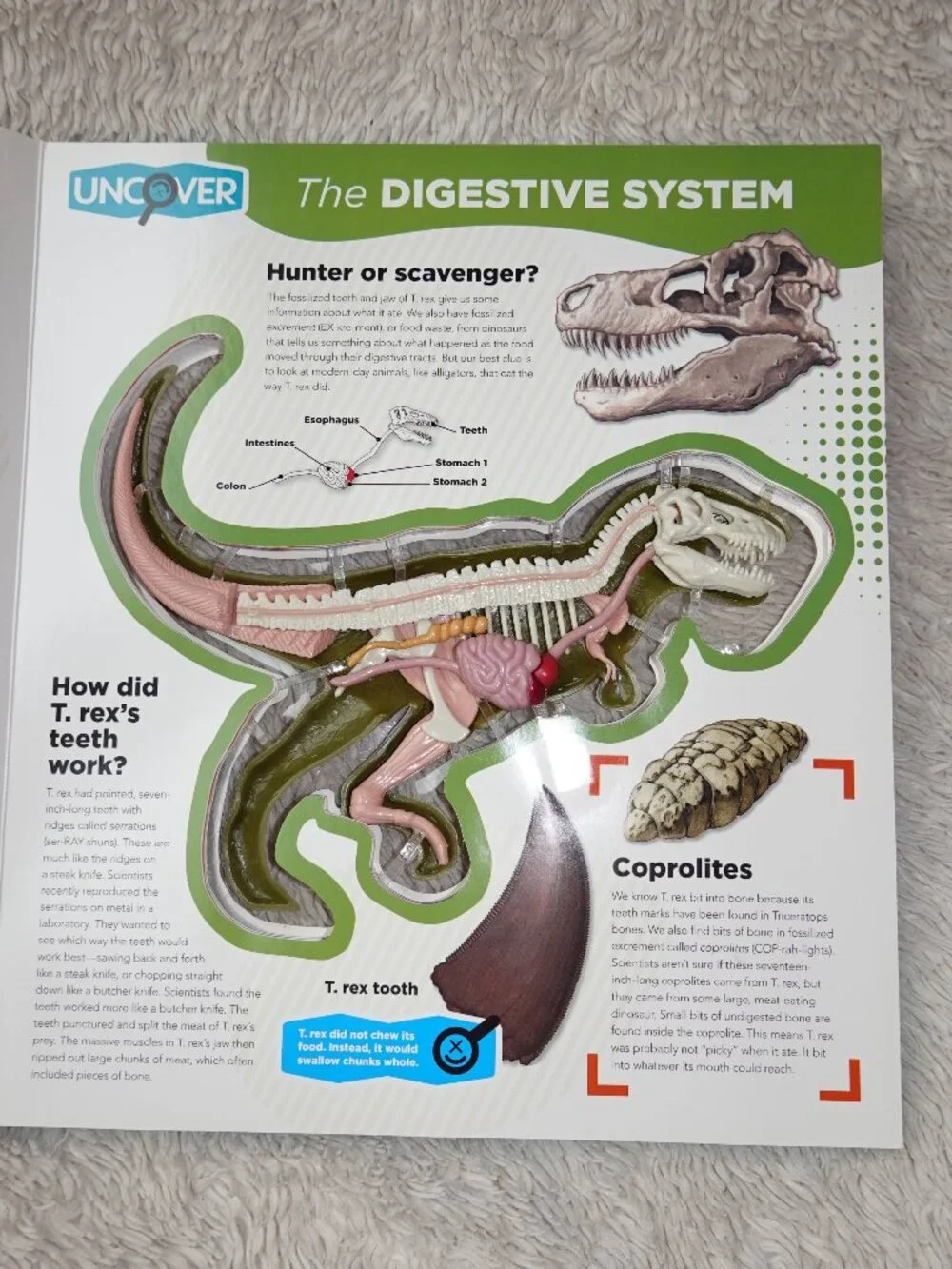Uncover a T.Rex Hardcover 3D Book and Model